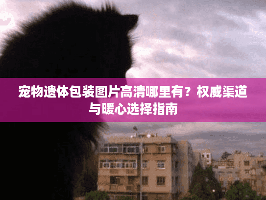 宠物遗体包装图片高清哪里有？权威渠道与暖心选择指南