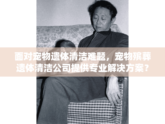 面对宠物遗体清洁难题，宠物殡葬遗体清洁公司提供专业解决方案？