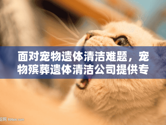 面对宠物遗体清洁难题，宠物殡葬遗体清洁公司提供专业解决方案？