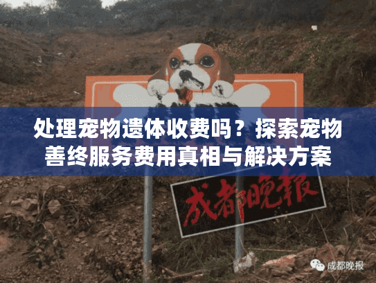 处理宠物遗体收费吗？探索宠物善终服务费用真相与解决方案