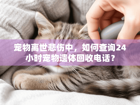 宠物离世悲伤中，如何查询24小时宠物遗体回收电话？