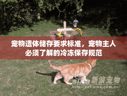 宠物遗体储存要求标准，宠物主人必须了解的冷冻保存规范