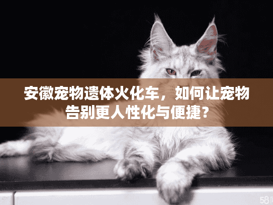 安徽宠物遗体火化车，如何让宠物告别更人性化与便捷？