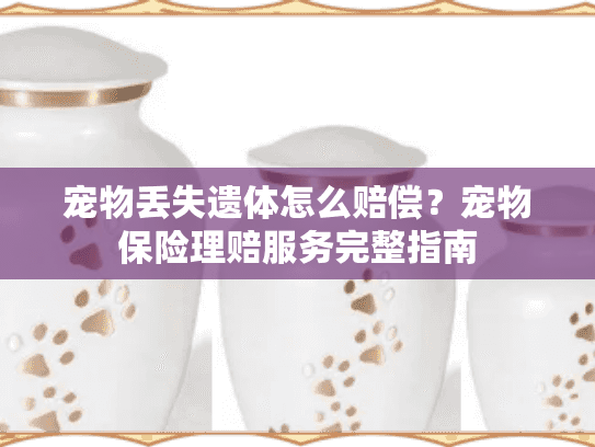 宠物丢失遗体怎么赔偿？宠物保险理赔服务完整指南