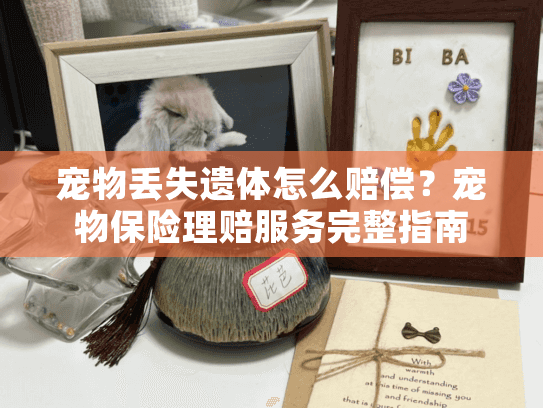 宠物丢失遗体怎么赔偿？宠物保险理赔服务完整指南