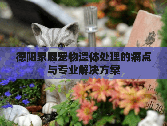 德阳家庭宠物遗体处理的痛点与专业解决方案