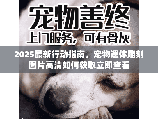 2025最新行动指南，宠物遗体雕刻图片高清如何获取立即查看