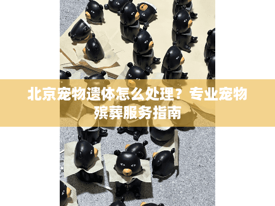 北京宠物遗体怎么处理？专业宠物殡葬服务指南