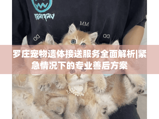 罗庄宠物遗体接送服务全面解析|紧急情况下的专业善后方案
