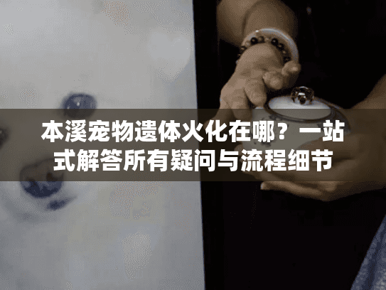 本溪宠物遗体火化在哪？一站式解答所有疑问与流程细节