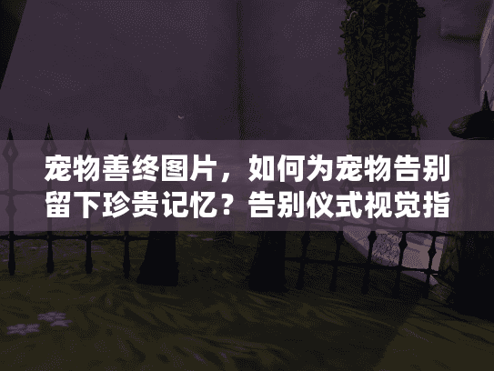 宠物善终图片，如何为宠物告别留下珍贵记忆？告别仪式视觉指南