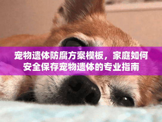 宠物遗体防腐方案模板，家庭如何安全保存宠物遗体的专业指南