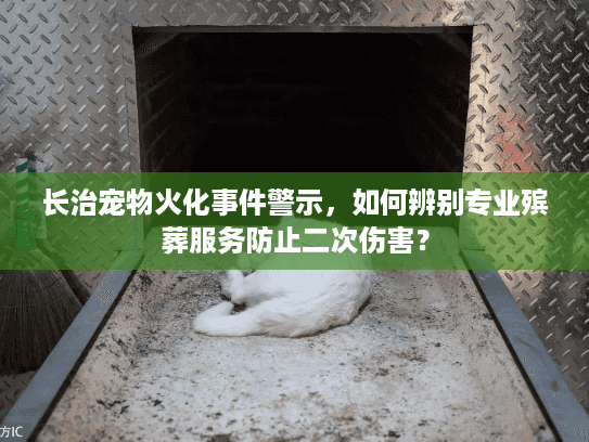 长治宠物火化事件警示，如何辨别专业殡葬服务防止二次伤害？