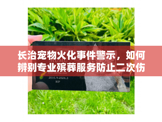 长治宠物火化事件警示，如何辨别专业殡葬服务防止二次伤害？