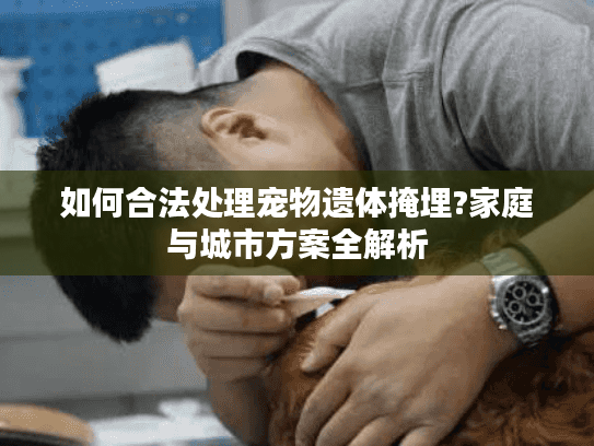 如何合法处理宠物遗体掩埋?家庭与城市方案全解析