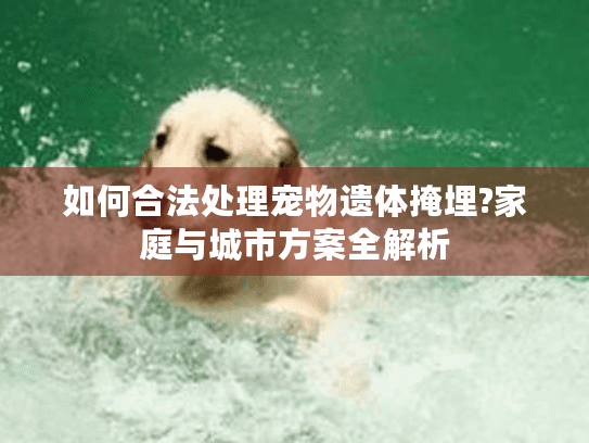 如何合法处理宠物遗体掩埋?家庭与城市方案全解析