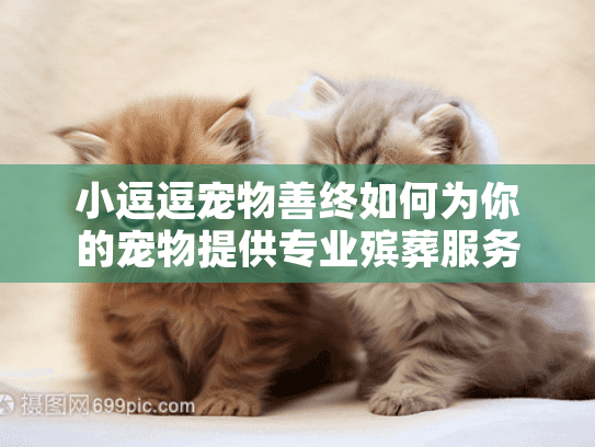 小逗逗宠物善终如何为你的宠物提供专业殡葬服务？