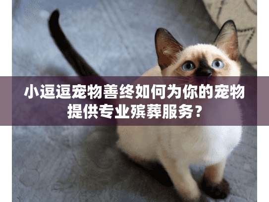 小逗逗宠物善终如何为你的宠物提供专业殡葬服务？