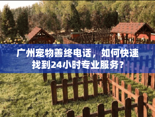 广州宠物善终电话，如何快速找到24小时专业服务？