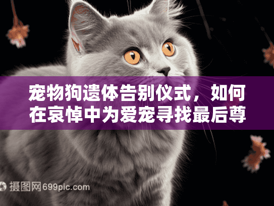 宠物狗遗体告别仪式，如何在哀悼中为爱宠寻找最后尊严？
