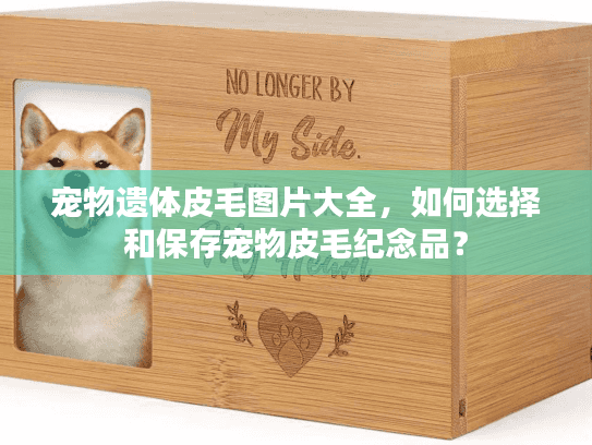 宠物遗体皮毛图片大全，如何选择和保存宠物皮毛纪念品？