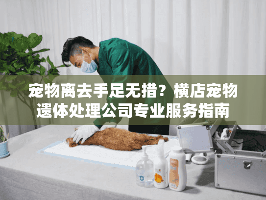 宠物离去手足无措？横店宠物遗体处理公司专业服务指南