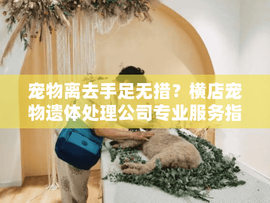 宠物离去手足无措？横店宠物遗体处理公司专业服务指南