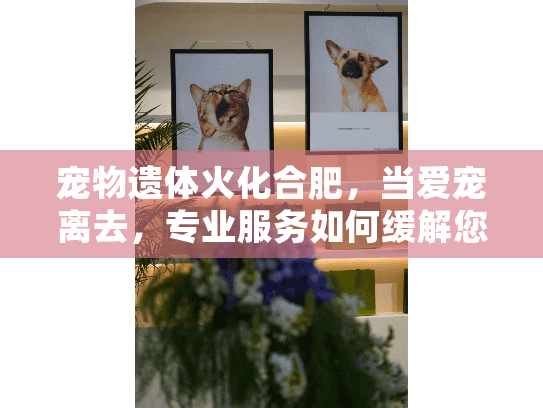宠物遗体火化合肥，当爱宠离去，专业服务如何缓解您的悲伤？