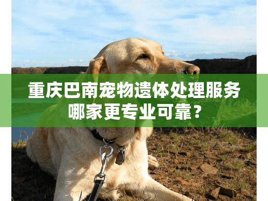 重庆巴南宠物遗体处理服务哪家更专业可靠? 重庆巴南宠物遗体处理服务哪家更专业可靠?