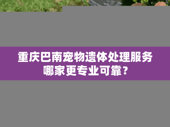 重庆巴南宠物遗体处理服务哪家更专业可靠? 重庆巴南宠物遗体处理服务哪家更专业可靠?