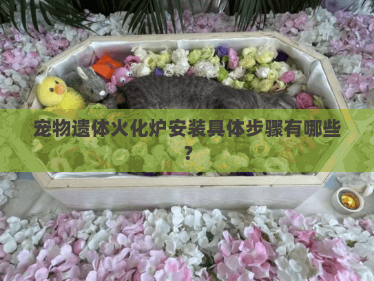 宠物遗体火化炉安装具体步骤有哪些？