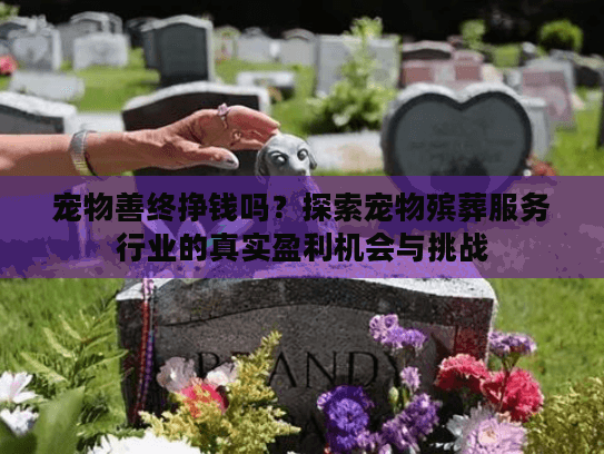 宠物善终挣钱吗？探索宠物殡葬服务行业的真实盈利机会与挑战