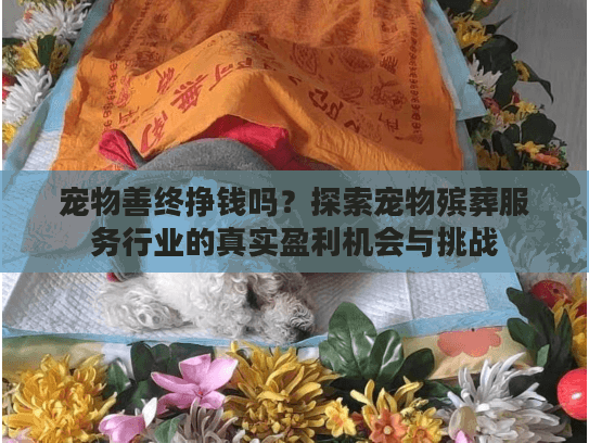 宠物善终挣钱吗？探索宠物殡葬服务行业的真实盈利机会与挑战