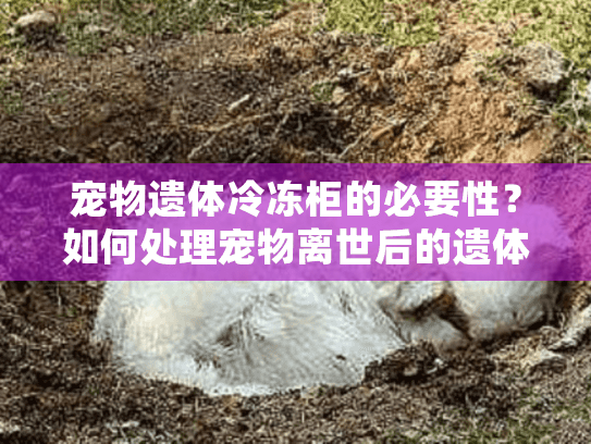 宠物遗体冷冻柜的必要性？如何处理宠物离世后的遗体保存问题