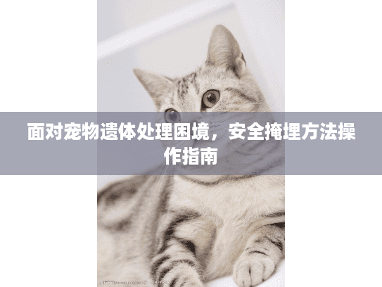 面对宠物遗体处理困境，安全掩埋方法操作指南