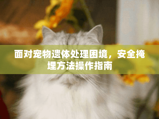 面对宠物遗体处理困境，安全掩埋方法操作指南