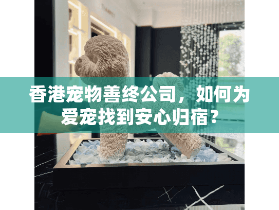 香港宠物善终公司，如何为爱宠找到安心归宿？