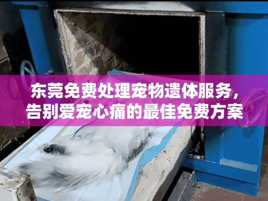 东莞免费处理宠物遗体服务，告别爱宠心痛的最佳免费方案