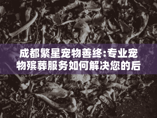 成都繁星宠物善终:专业宠物殡葬服务如何解决您的后顾之忧?