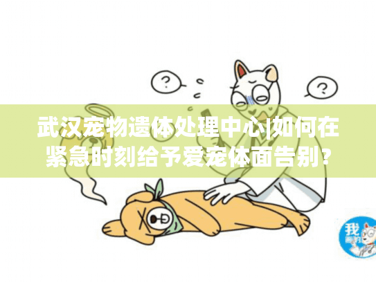 武汉宠物遗体处理中心|如何在紧急时刻给予爱宠体面告别？