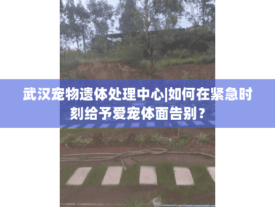 武汉宠物遗体处理中心|如何在紧急时刻给予爱宠体面告别？
