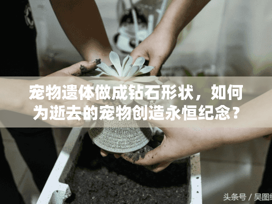 宠物遗体做成钻石形状，如何为逝去的宠物创造永恒纪念？