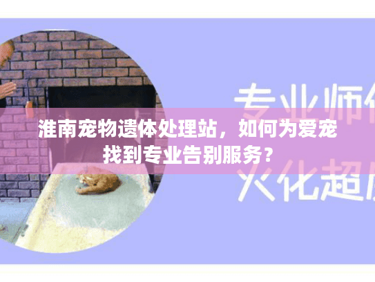 淮南宠物遗体处理站，如何为爱宠找到专业告别服务？