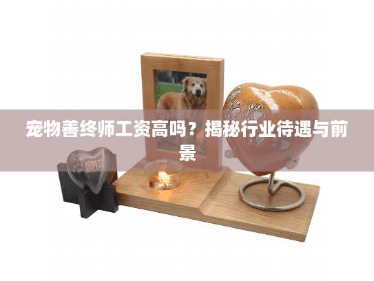 宠物善终师工资高吗？揭秘行业待遇与前景