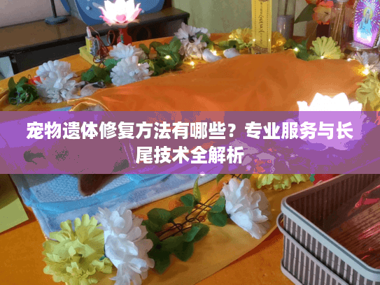 宠物遗体修复方法有哪些？专业服务与长尾技术全解析