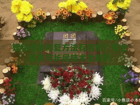 宠物遗体修复方法有哪些？专业服务与长尾技术全解析