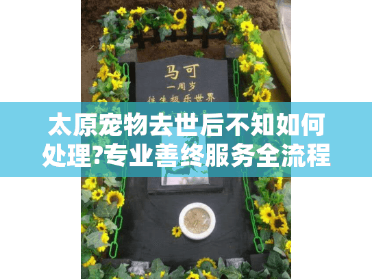 太原宠物去世后不知如何处理?专业善终服务全流程解析