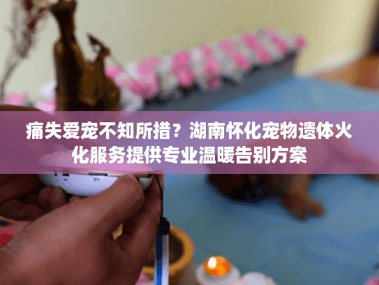 痛失爱宠不知所措？湖南怀化宠物遗体火化服务提供专业温暖告别方案