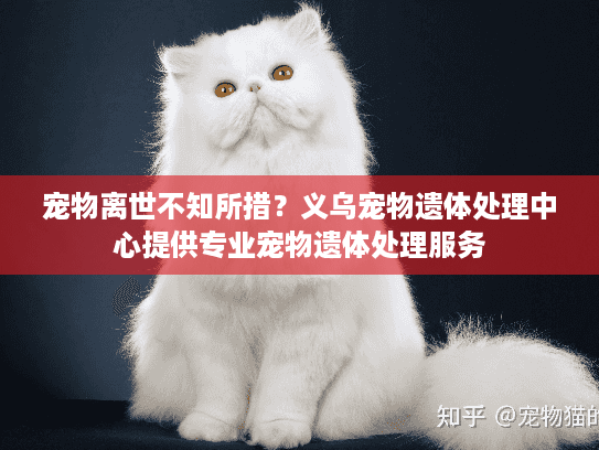 宠物离世不知所措？义乌宠物遗体处理中心提供专业宠物遗体处理服务