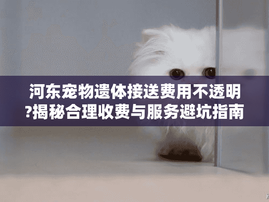 河东宠物遗体接送费用不透明?揭秘合理收费与服务避坑指南